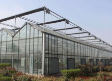 預(yù)防大雪壓塌及大棚溫室除雪方法大集合！